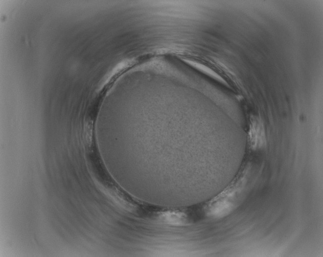 X0000065980168200603061223