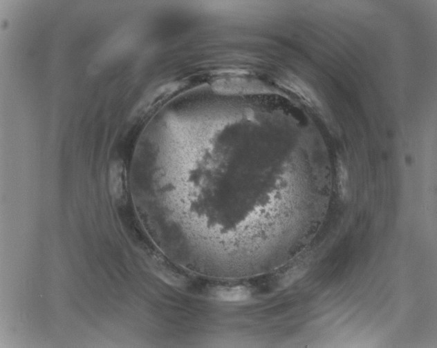 X0000065980169200603061223