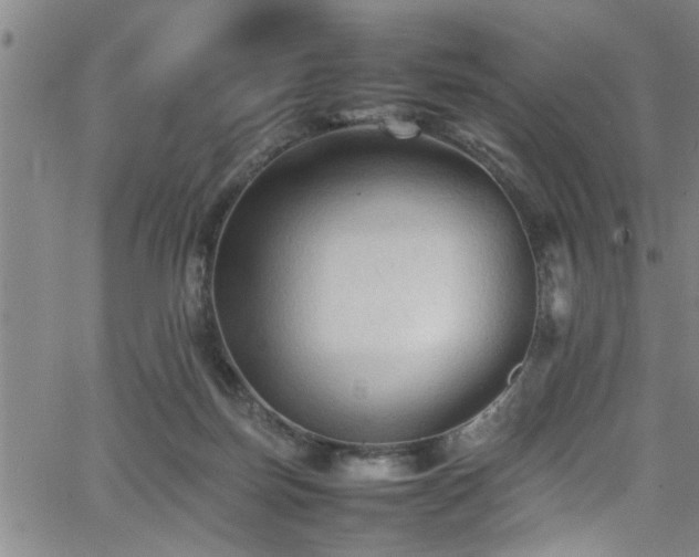 X0000065980171200603061223