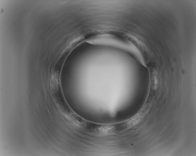 X0000065980172200603061223