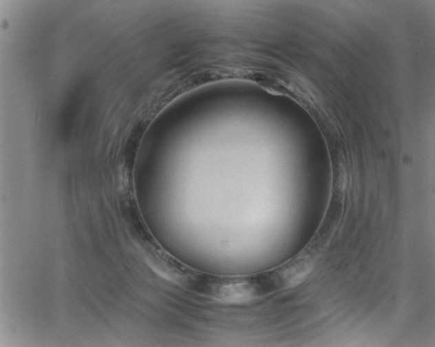 X0000065980173200603061223