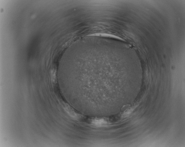 X0000065980177200603061223