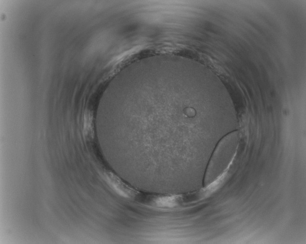 X0000065980178200603061223