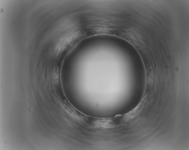 X0000065980179200603061223