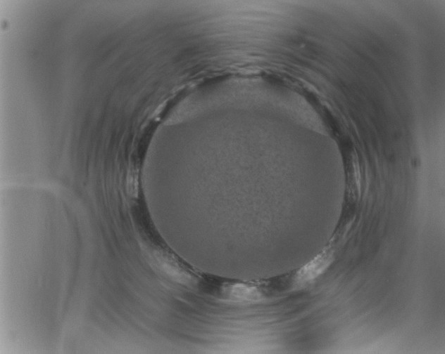 X0000065980180200603061223