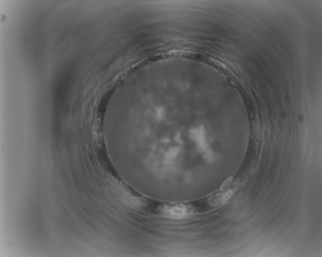 X0000065980181200603061223