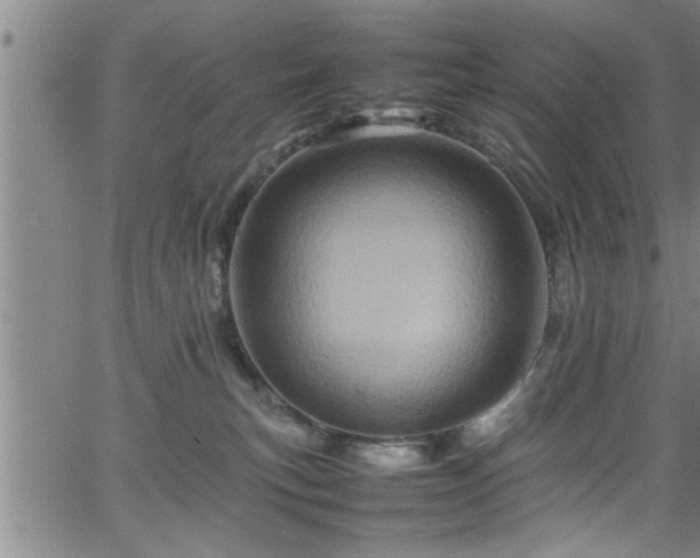 X0000065980183200603061223