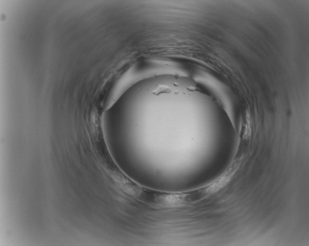 X0000065980184200603061223