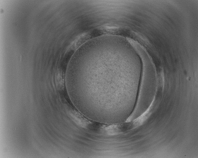 X0000065980186200603061224