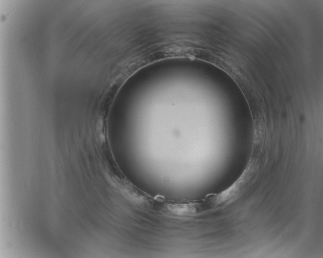 X0000065980187200603061224