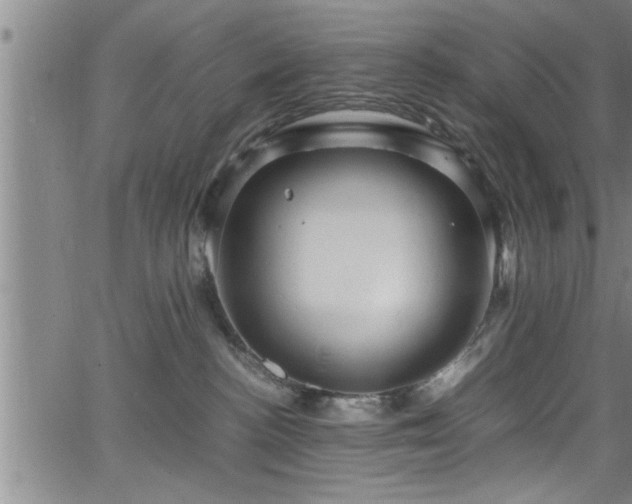 X0000065980188200603061224