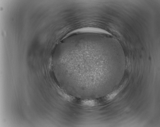 X0000065980189200603061224