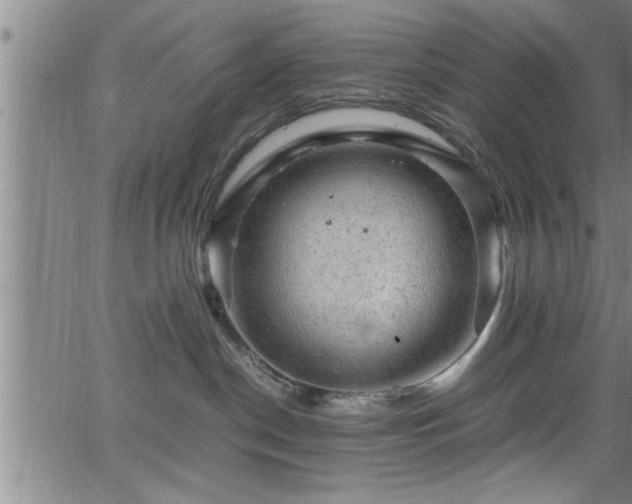 X0000065980190200603061224