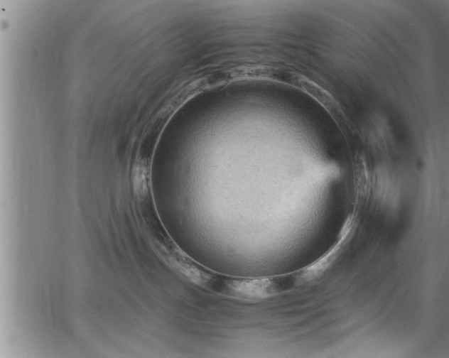 X0000065980191200603061224