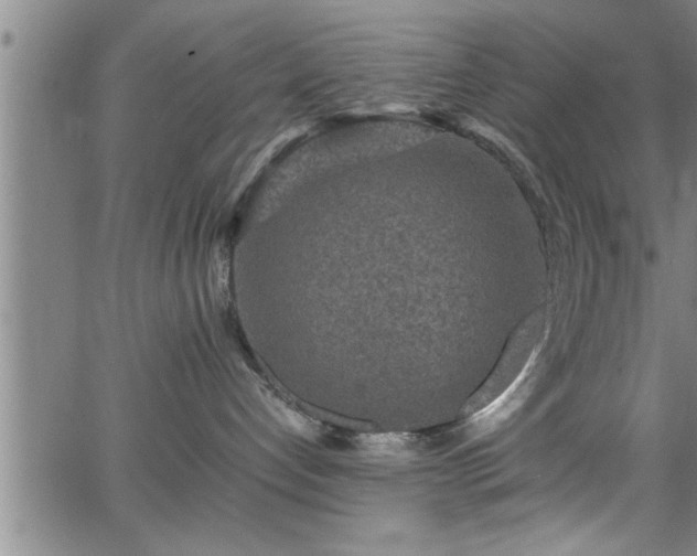 X0000065980192200603061224