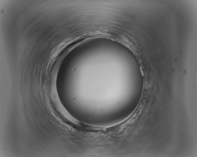 X0000065980193200603061223