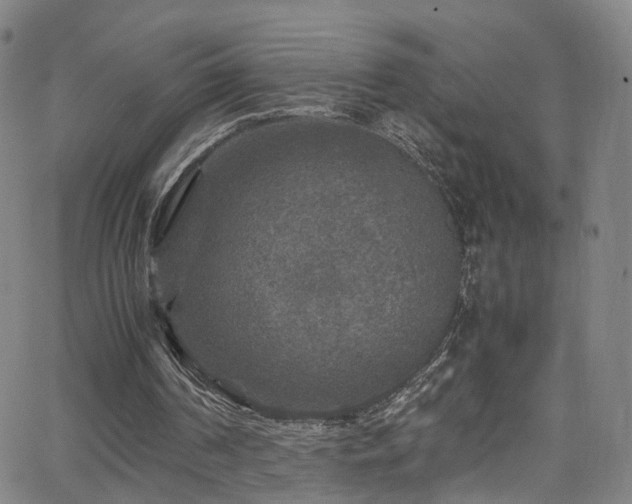 X0000065980194200603061223