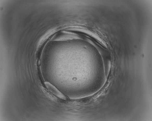 X0000065980197200603061223