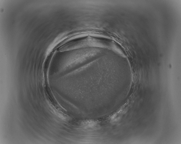 X0000065980198200603061223