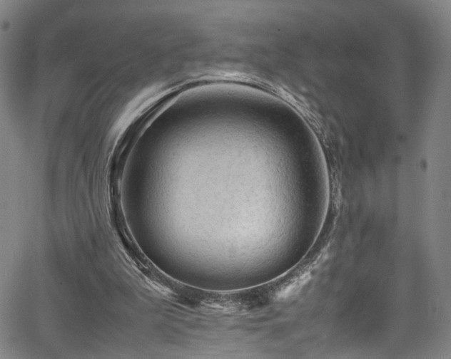 X0000065980199200603061223