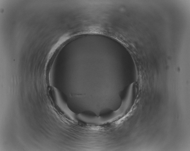 X0000065980200200603061223