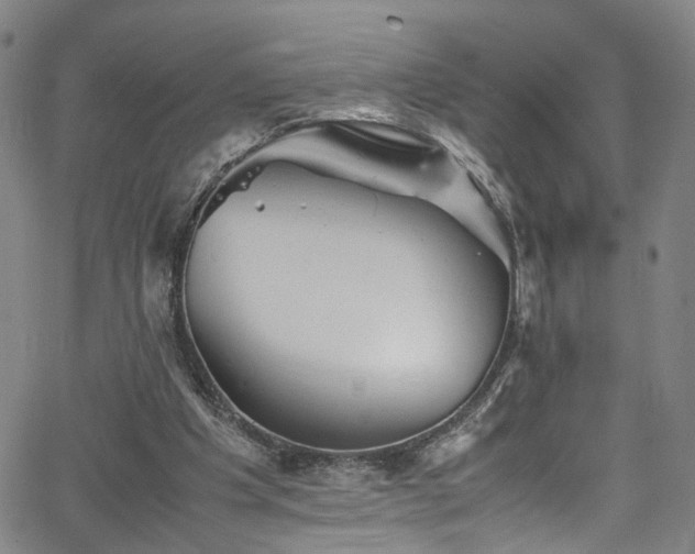 X0000065980201200603061223