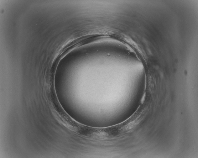 X0000065980203200603061223