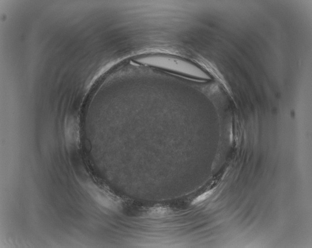 X0000065980204200603061223