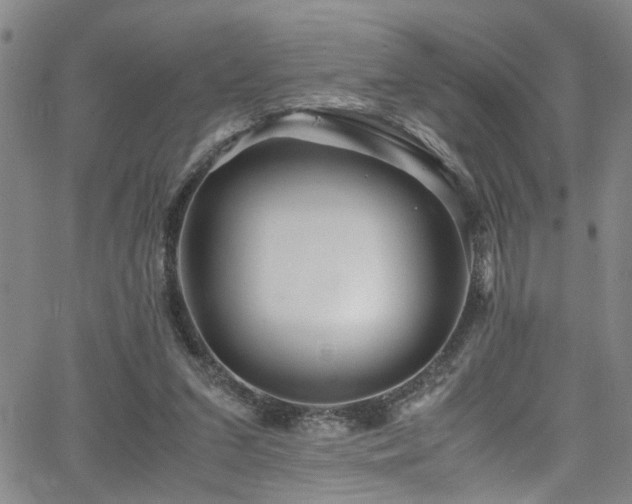 X0000065980207200603061223