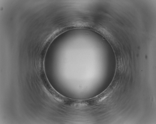 X0000065980208200603061223