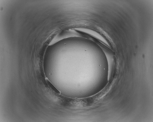 X0000065980209200603061223