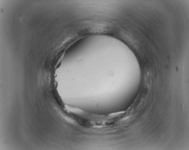 X0000065980211200603061223