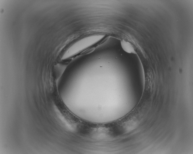 X0000065980212200603061223