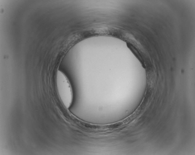 X0000065980213200603061223