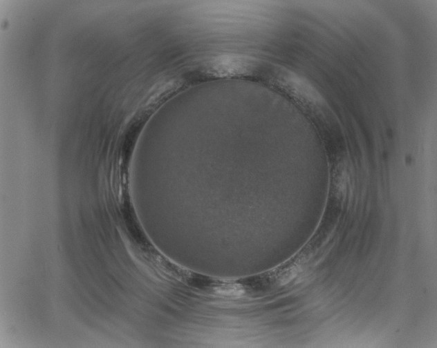 X0000065980214200603061222