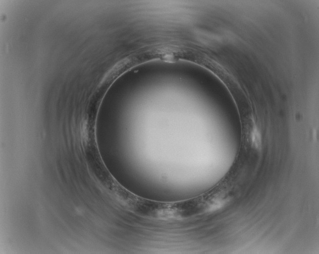 X0000065980216200603061222