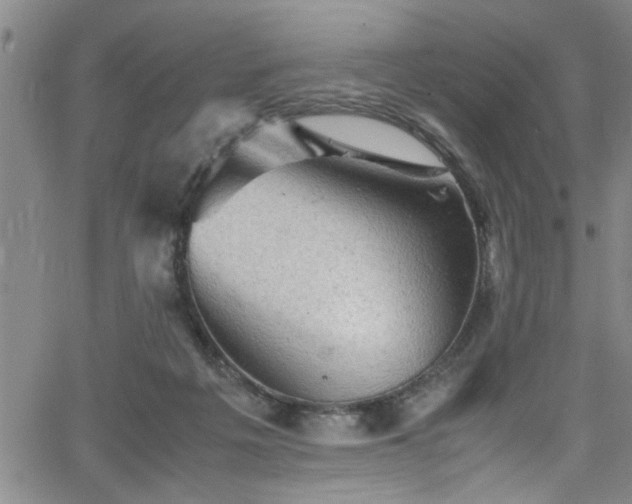 X0000065980217200603061222