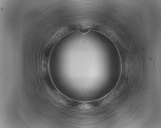 X0000065980218200603061222