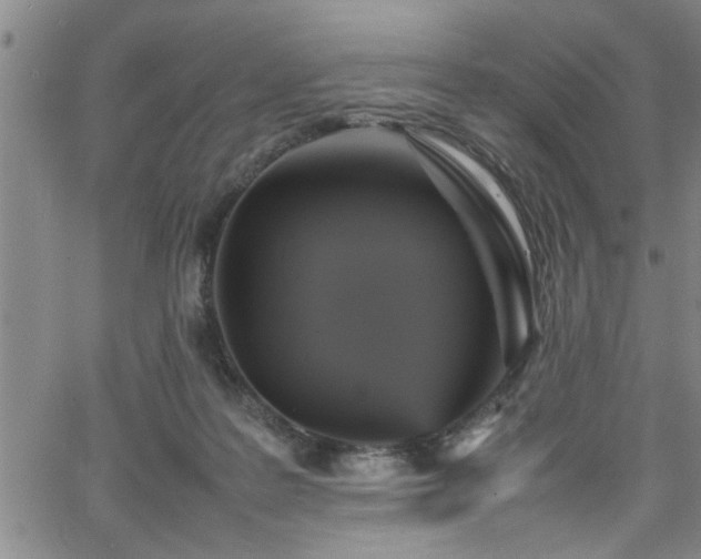 X0000065980219200603061222