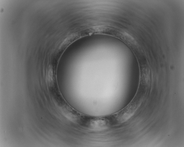 X0000065980220200603061222