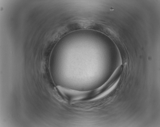 X0000065980221200603061222