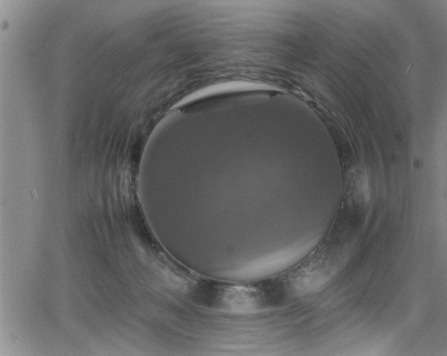 X0000065980222200603061222