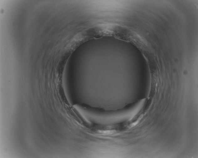 X0000065980223200603061222