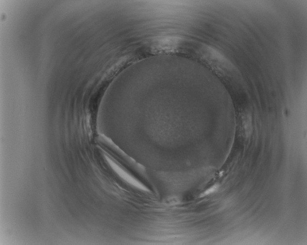 X0000065980224200603061222