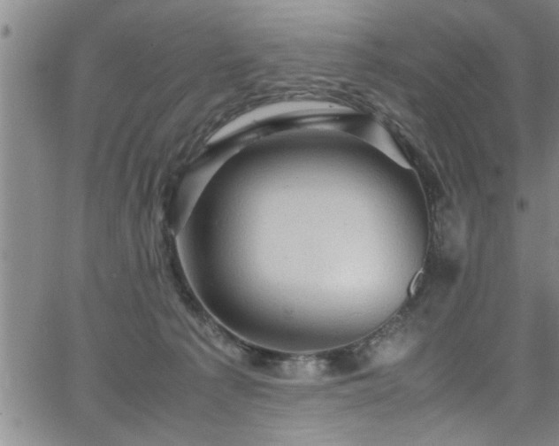 X0000065980225200603061222