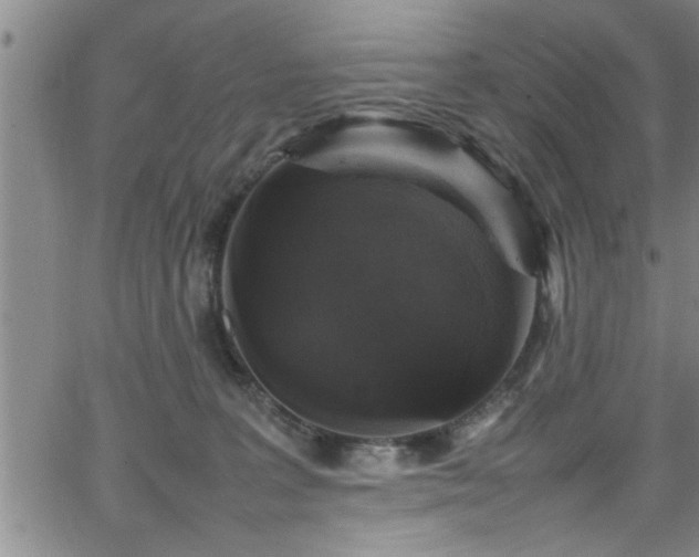 X0000065980227200603061222