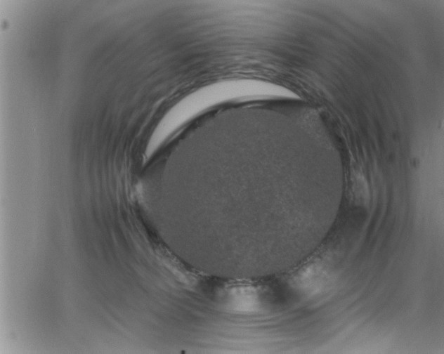 X0000065980228200603061222