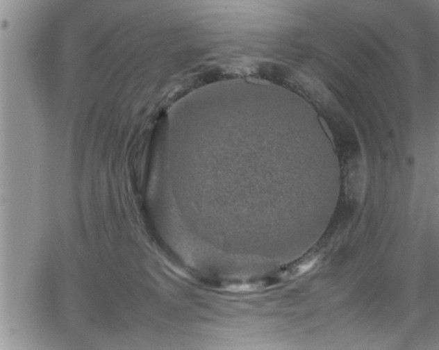 X0000065980229200603061222