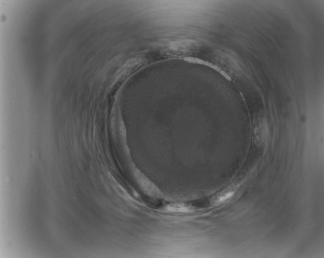 X0000065980231200603061222