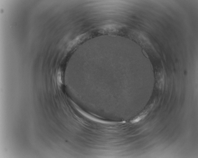 X0000065980232200603061222